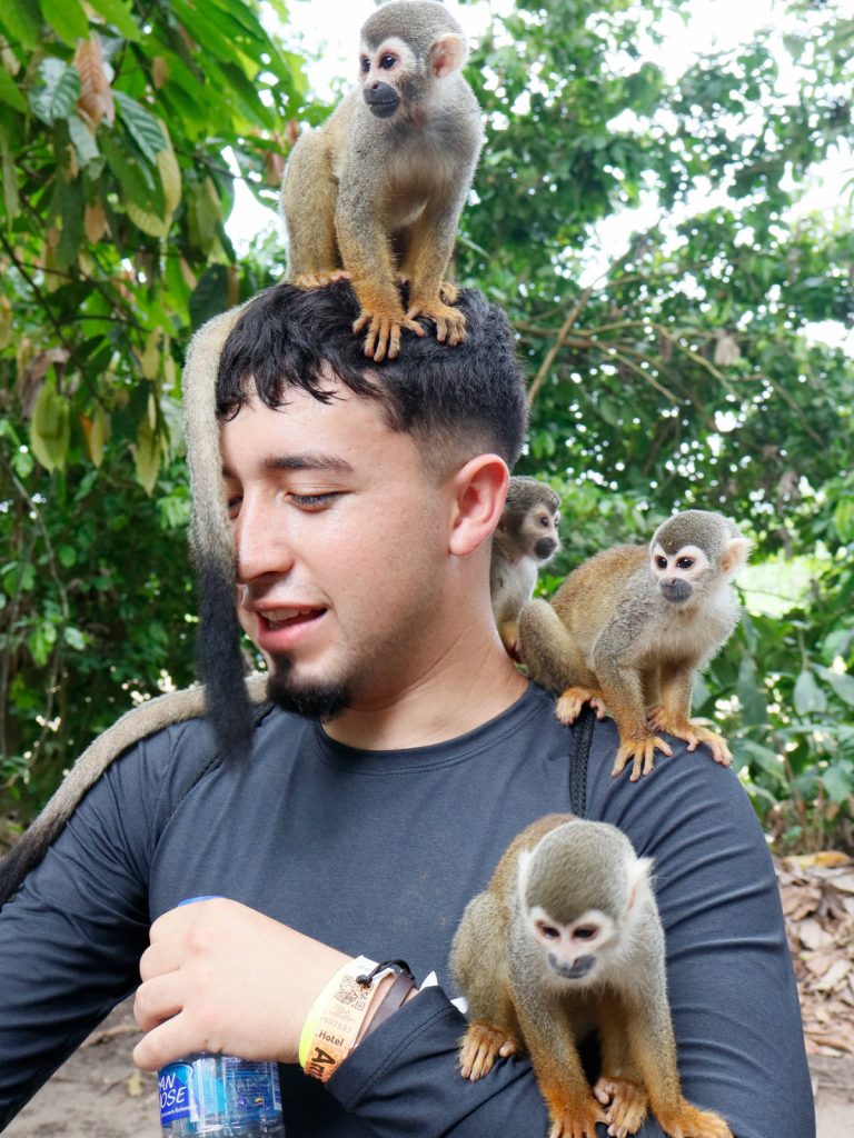 Tres monos ardilla posados sobre un estudiante